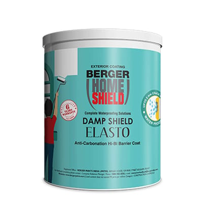 Berger Paints Home Shield Damp Shield Elasto (White, 4 Litre) for Vertical Wall Waterproofing