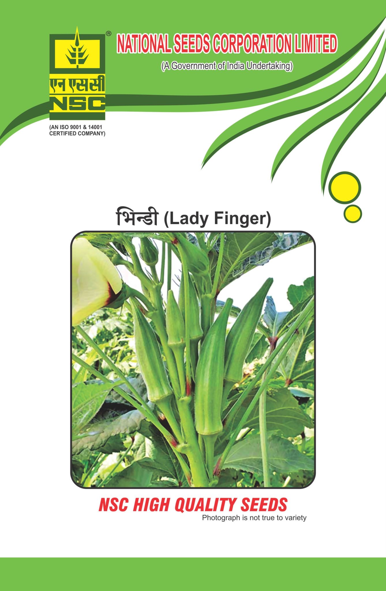 NSC Bhindi Seed, Variety: Kashi Chaman 100gm