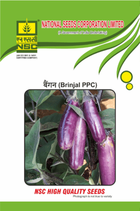 NSC Brinjal PPC Seeds 10g