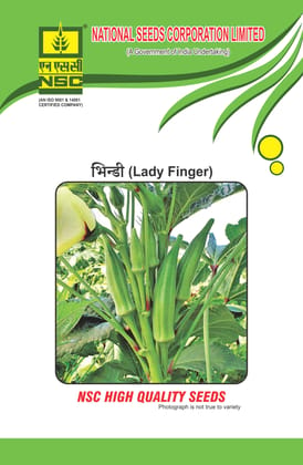 NSC Bhindi Seed, Variety: Arka Anamika 100gm