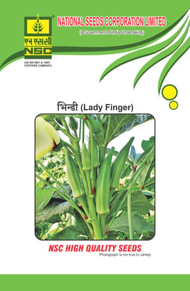 NSC Bhindi AA (Arka Anamika) High Quality Seeds, 50g