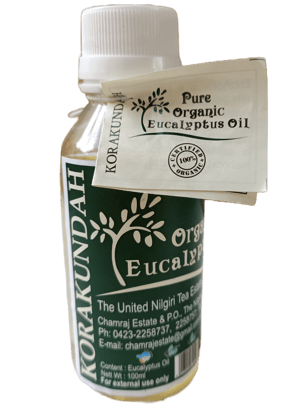 KORAKUNDAH Pure Organic Eucalyptus Oil 100 ml | Pack of 1 | Total 100 ml | Certified Organic by IMO Switzerland | Chamraj Finest Nilgiri Eucalyptus Oil
