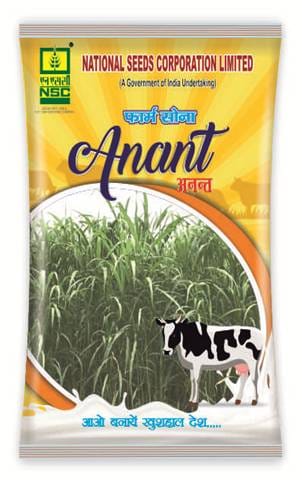 अनंत  ( Anant ) NSC Sorghum CSV-33 MF T/L Seed, 250 gm pouch