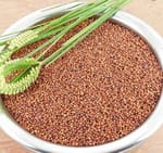 HONNADEVI FARMERS PRODUCER COMPANY LIMITED HONNADEVI FARMERS PRODUCER COMPANY LIMITED