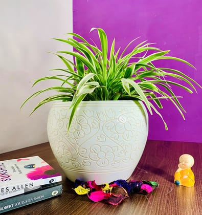 Homefrills Medium White Flower Design Carved Ceramic planters Pot Gamla for Indoor & Outdoor Home, Garden, Office Decor,Balcony Planters Pot Gamla Size-19 * 16 cm
