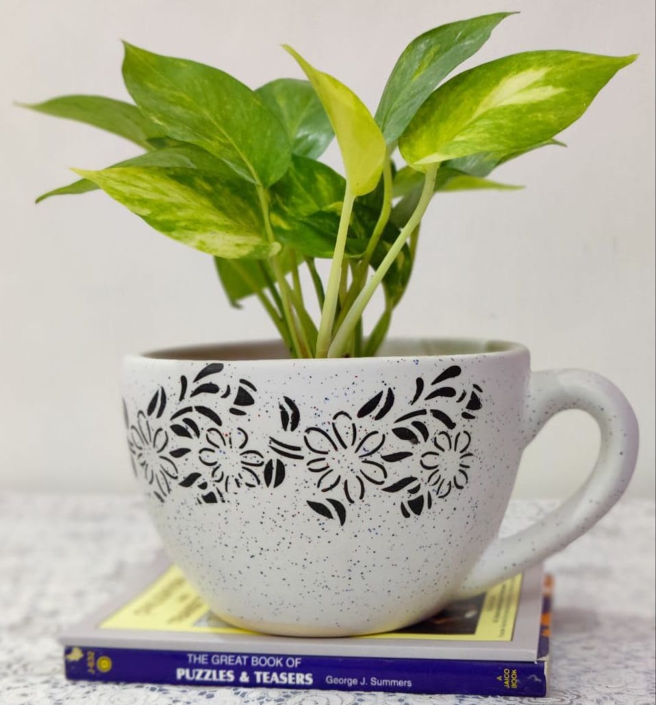 Homefrills Ceramic Stylish Cup Shape White Colour planters Pot for Indoor & Outdoor Home, Garden, Office Decor,Balcony Planters Pot Gamla Pot Size: 20 cm Wide & 11 cm high