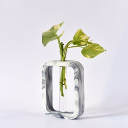 Rectangle Test Tube Planter