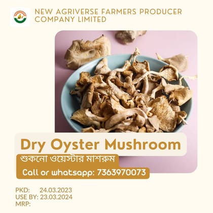 Dry Edible Oyster Mushroom ( Organically Grown Dehydrated Mushroom) 100 gm
