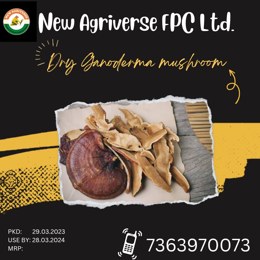 Dry Ganoderma Mushroom 50 gm