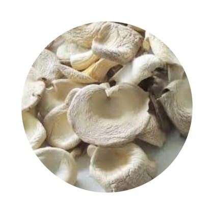 Dry Oyster Mushroom (Edible Pleurotus ostreatus Sun Dried ) (100)