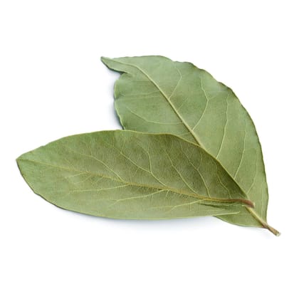 Premium Indian Bay Leaf Whole – 50 gm (Single Origin, Farm Direct Produce, Organically Grown & Made in small batches)