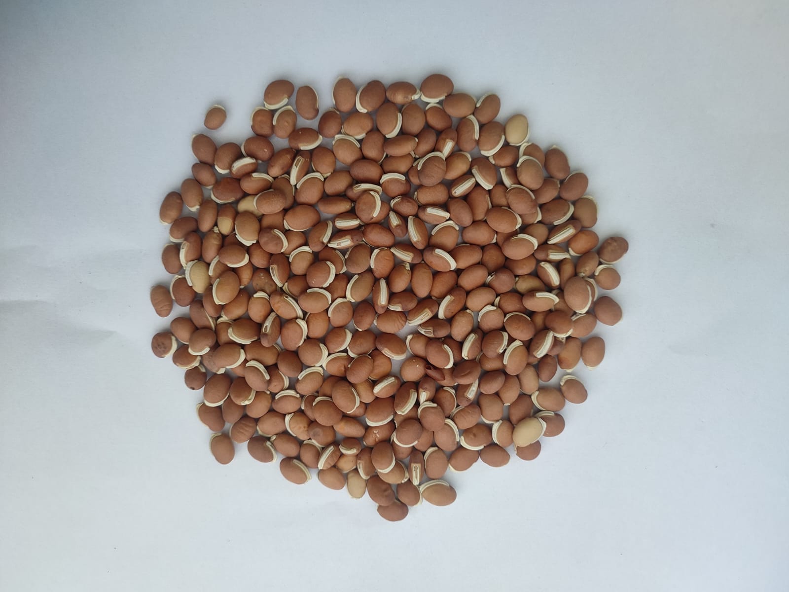 Balar Dal-Avarekalu