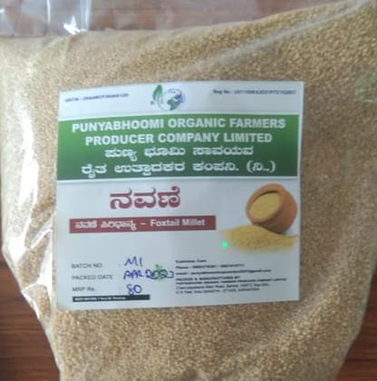 Foxtail Millets