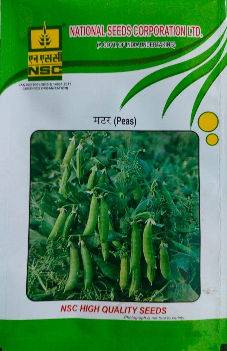 NSC Vegetable Pea Arkel  T/L Seed 1000 Gram