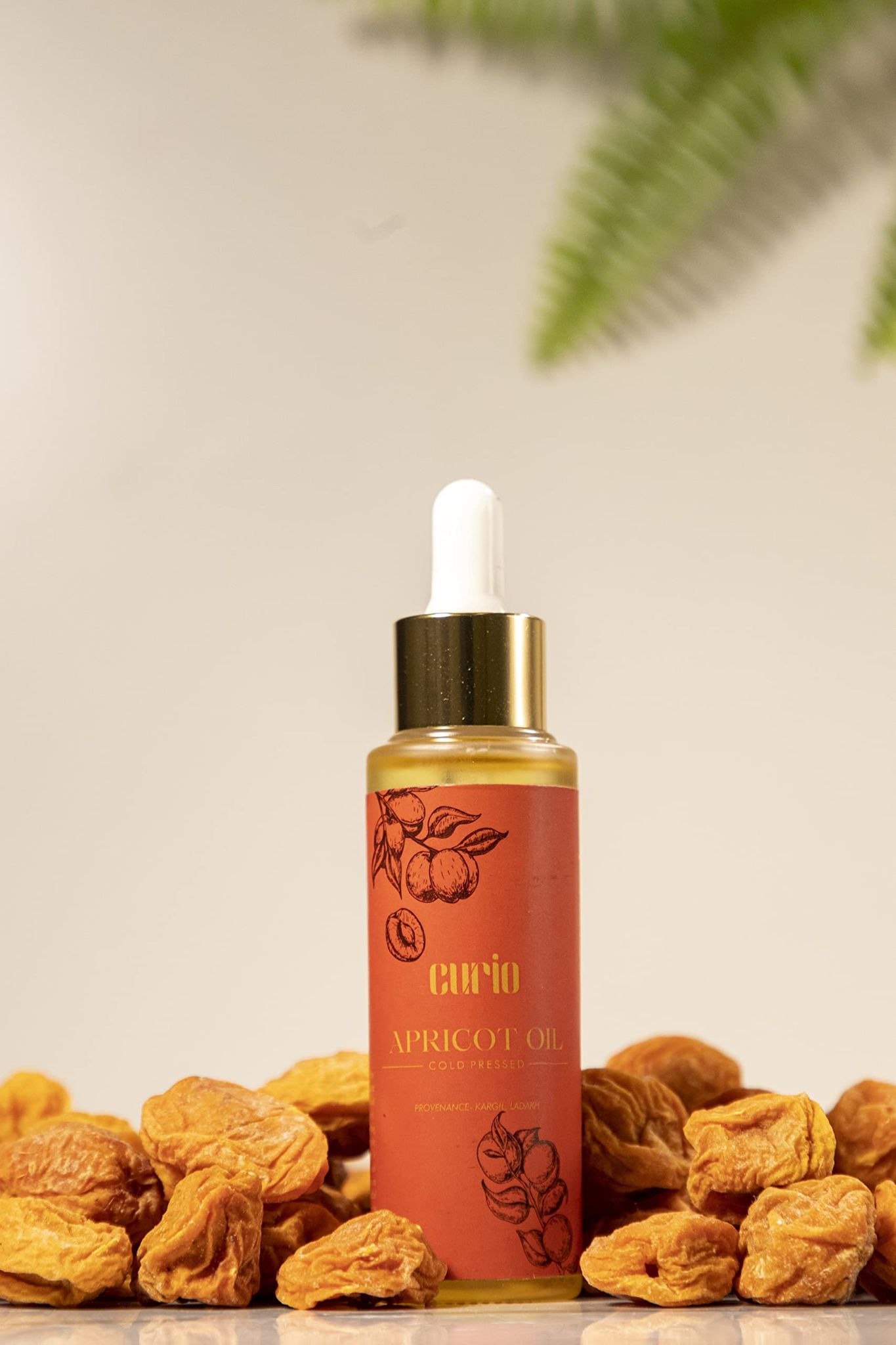 Curio Cold Wood Pressed Sweet Apricot Oil | Ladakh Apricot Kernel Oil | Himalayan Apricots | Chulli ka Tail | Provenance- Kargil, Ladakh - 50 ml