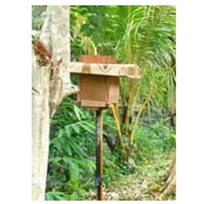 100% Pure, Natural & Ethically Sourced Honey – Raw, Unprocessed, Unfiltered & Unpasteurized Honey from Kerala