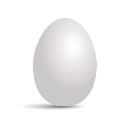 Egg(Single) 1 pc