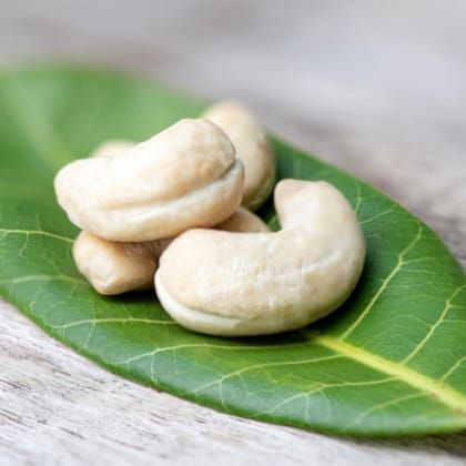 Premium Quality non roasted Cashew Nuts From Kerala