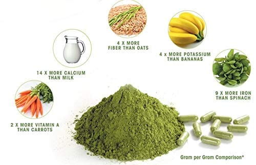 Organo Nutri Moringa Leaf Powder, 100 g