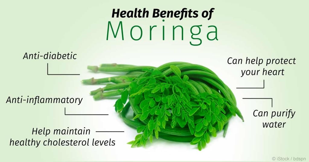 Organo Nutri Moringa Leaf Powder, 100 g