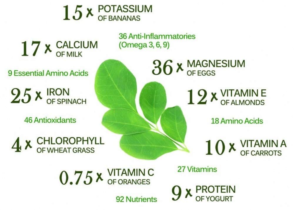 Organo Nutri Moringa Leaf Powder, 100 g