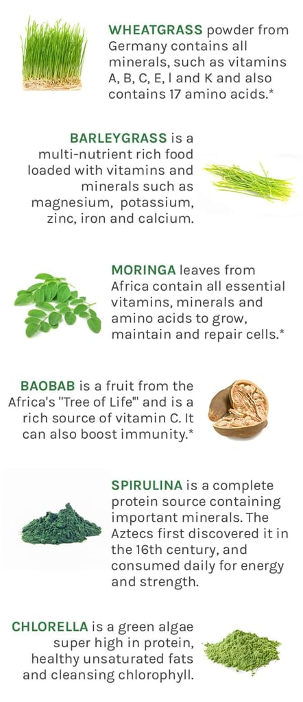 Organo Nutri Moringa Leaf Powder, 100 g