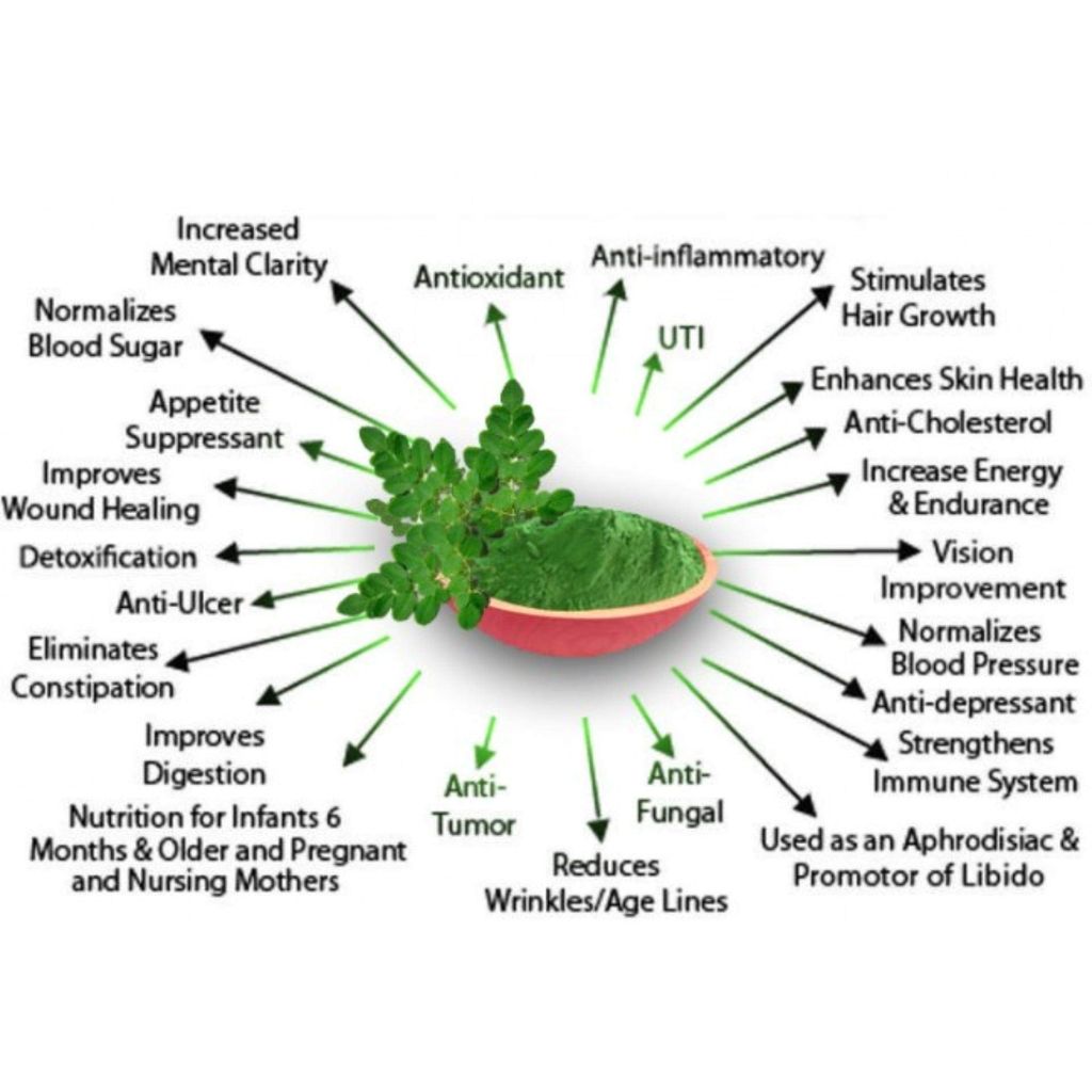 Organo Nutri Moringa Leaf Powder, 100 g