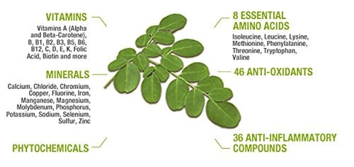 Organo Nutri Moringa Leaf Powder, 100 g