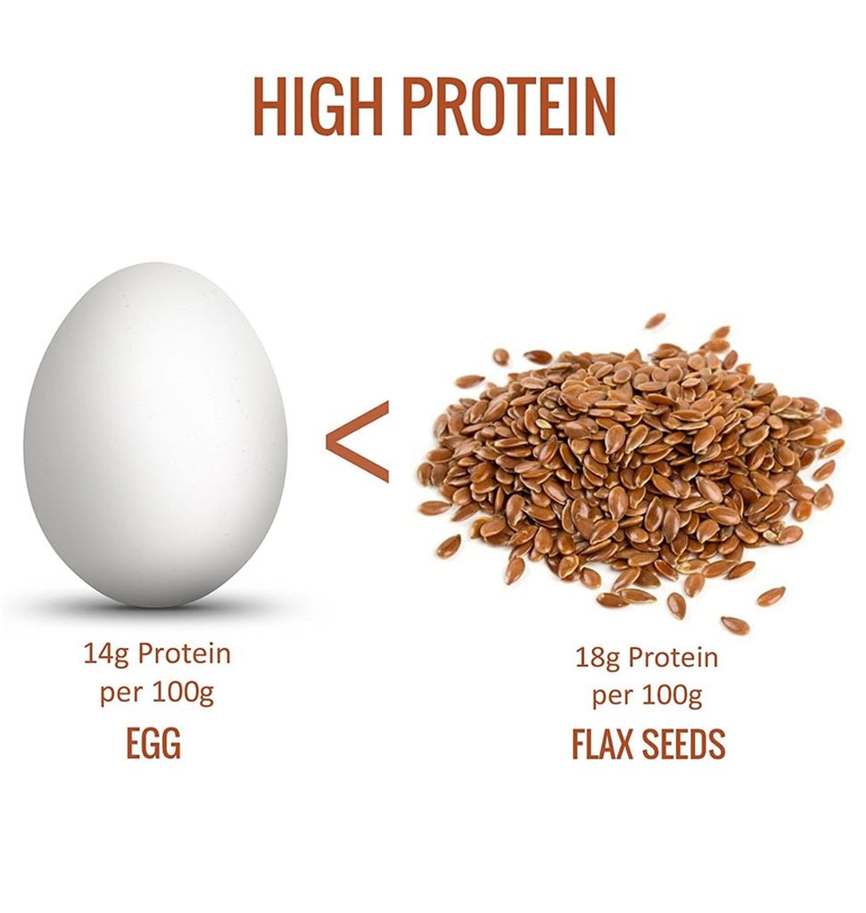 OrganoNutri Roasted Flax Seeds | Unsalted (2kg) Alsi for Eating | Premium Roast