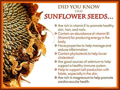 Organo Nutri Roasted Salted Sunflower Seeds (150 g)