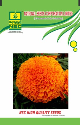 Crop: NSC Marigold, Variety: NSC Orange IUS 1000 Seeds