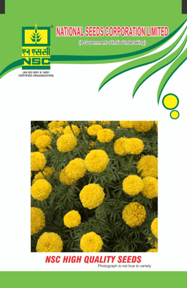 Crop: NSC Marigold, Variety: NSC Yellow IUS 1000 Seeds