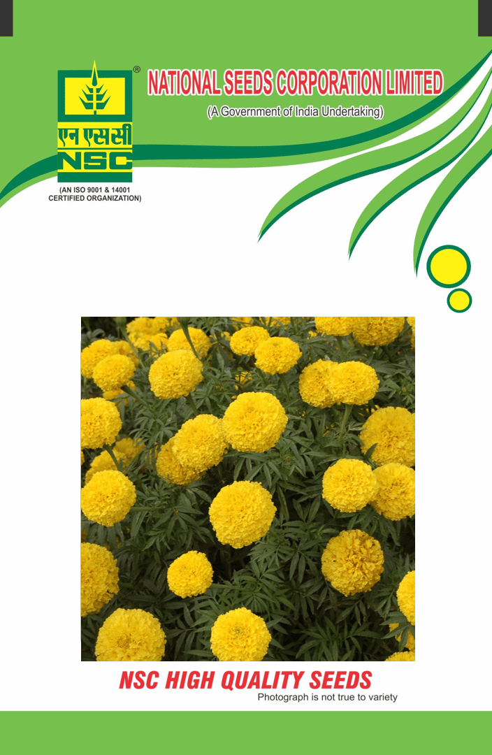 NSC Marigold Seed, Variety: NSC Yellow IUS 1000 Seeds