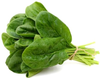 Spinach (Palak) Organic, Hydroponically grown