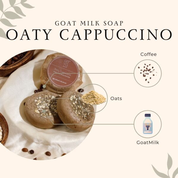 Goya Basics Oaty Cappuccino