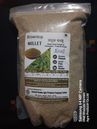 Browntop Millet Grain
