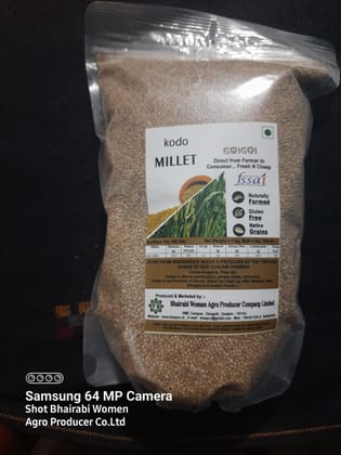 Kodo Millet Grain