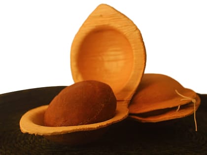 Gift pack of 4 Natural & Ayurvedic Handmade Soaps for all skin types