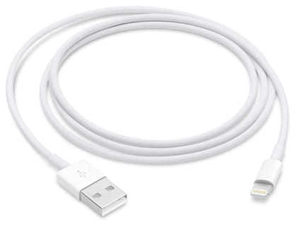 APPLE USB TO LIGHTING CABLE (1M) ZM (MXLY2ZM/A)