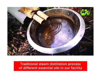 Frankincense Essential Oil