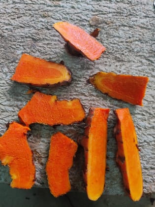 TURMERIC (fresh)
