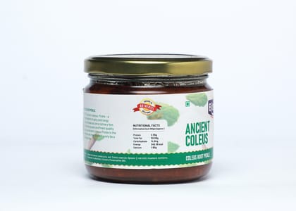 Biteorite Ancient Coleus Pickle, 350g