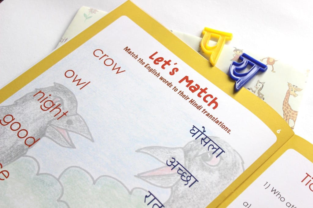 The Crows and the Owls - Workbook and 2 DIY magnets - 4 to 7 yrs