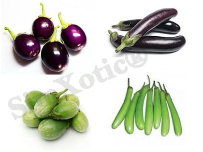SimXotic Combo of 4 Variety of Brinjal Seeds (30 Seeds Each)