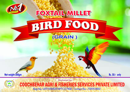 Foxtail Millet Bird Food Grain