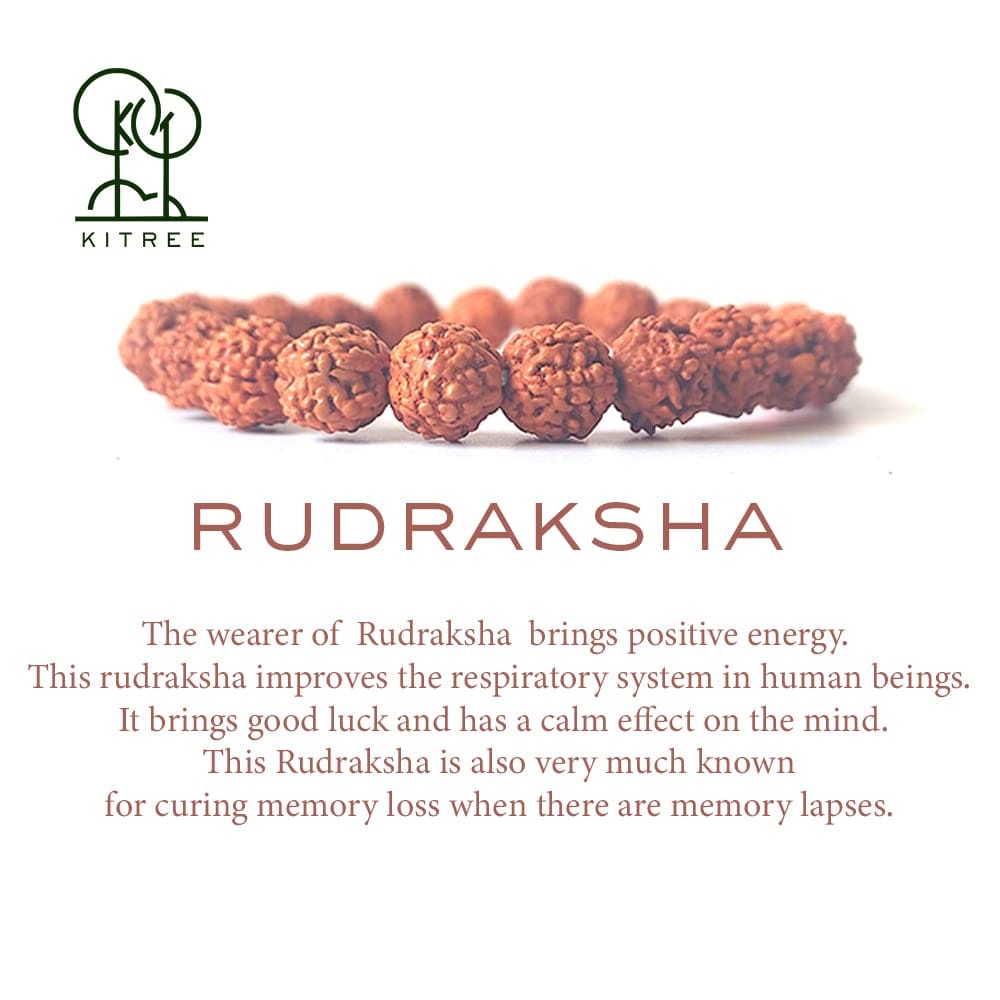 KITREE RUDRAKSHA BRACELET 8MM ROUND FOR UNISEX (BROWN COLOR)