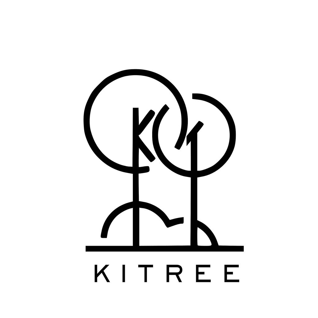 KITREE Energised Natural Clear Quartz Crystal Tree 300 Beads (Color White)