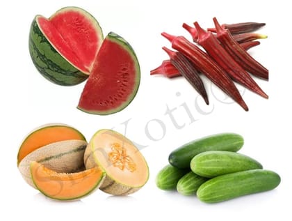 SimXotic Combo of Seeds - Watermelon, Okra Bhindi Red, Muskmelon, Cucumber Seeds (Organic) F9.13