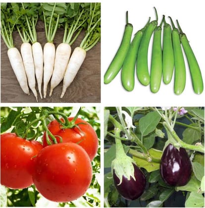 SimXotic Seeds Combo - Radish White Long, Brinjal Green Long, Tomato, Brinjal Chuchu Voilet (Organic)