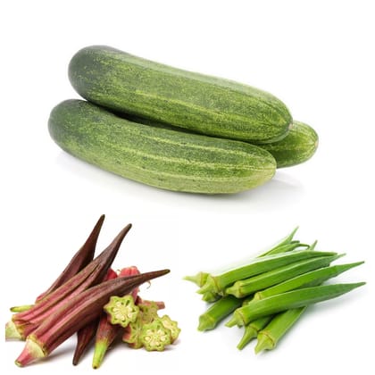 SimXotic Seeds Combo - Cucumber, Okra Green & Red Seeds